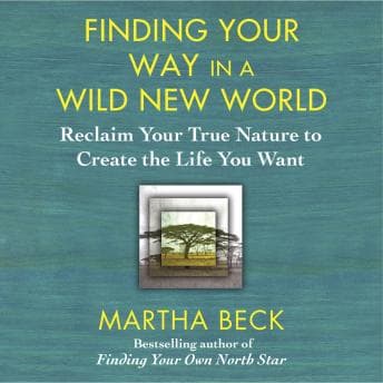 Finding Your Way in a Wild New World: Reclaim Your True Nature to Create the Life You Want audiobook cover