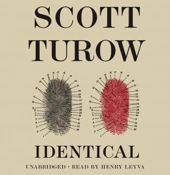 Identical audiobook cover