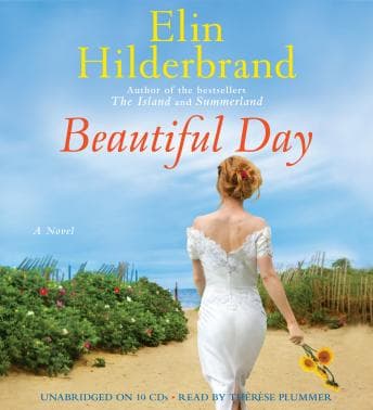 Beautiful Day: A Novel audiobook cover