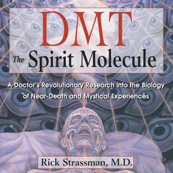 DMT: The Spirit Molecule: A Doctor's Revolutionary Research into the Biology of Near-Death and Mystical Experiences audiobook cover