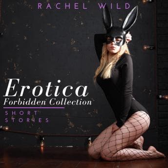 Erotica Forbidden Collection: Short Stories: A Flirting Romance for Adults audiobook cover