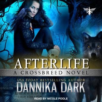 Afterlife audiobook cover