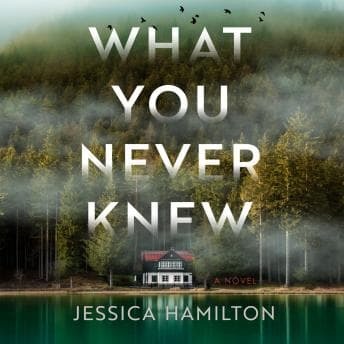 What You Never Knew audiobook cover