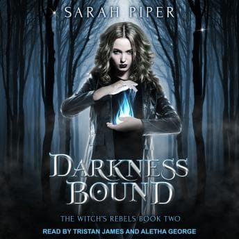 Darkness Bound: A Reverse Harem Paranormal Romance audiobook cover