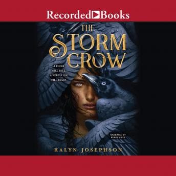Storm Crow audiobook cover