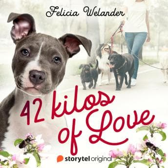 42 Kilos of Love audiobook cover