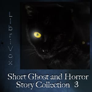 Short Ghost and Horror Collection 003 audiobook cover