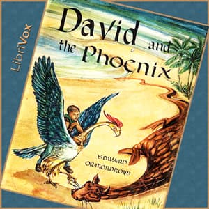 David and the Phoenix audiobook cover