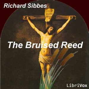 Bruised Reed audiobook cover