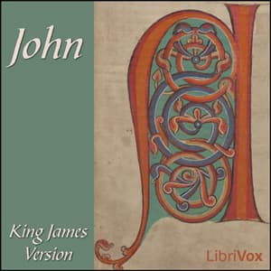 Bible (KJV) NT 04: John audiobook cover
