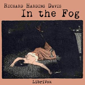 In the Fog audiobook cover
