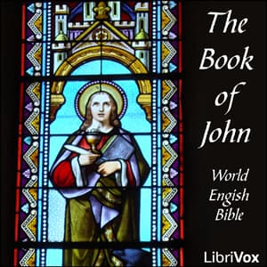 Bible (WEB) NT 04: John audiobook cover