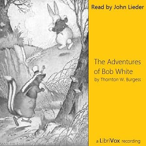 Adventures of Bob White audiobook cover