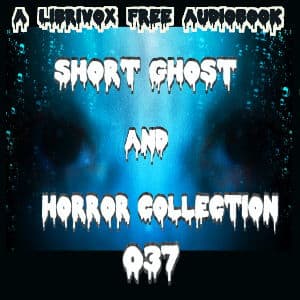 Short Ghost and Horror Collection 037 audiobook cover