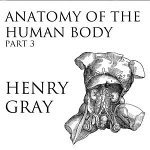 Anatomy of the Human Body, Part 3 audiobook cover