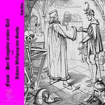 Faust - Der Tragodie erster Teil audiobook cover
