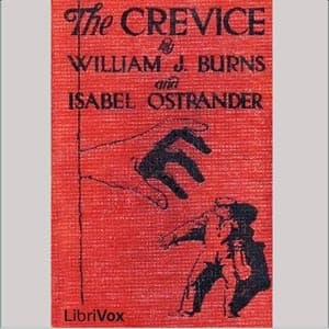 Crevice audiobook cover
