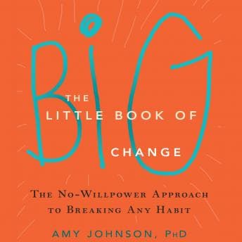 Little Book of Big Change: The No-Willpower Approach to Breaking Any Habit audiobook cover