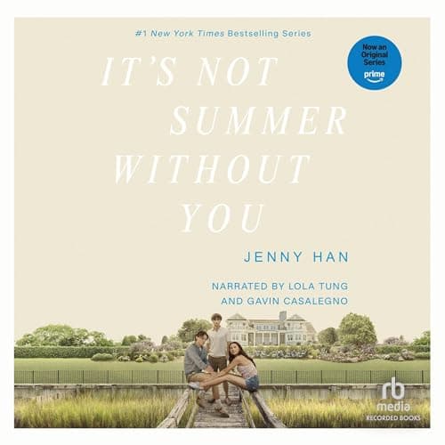 It&rsquo;s Not Summer Without You audiobook cover