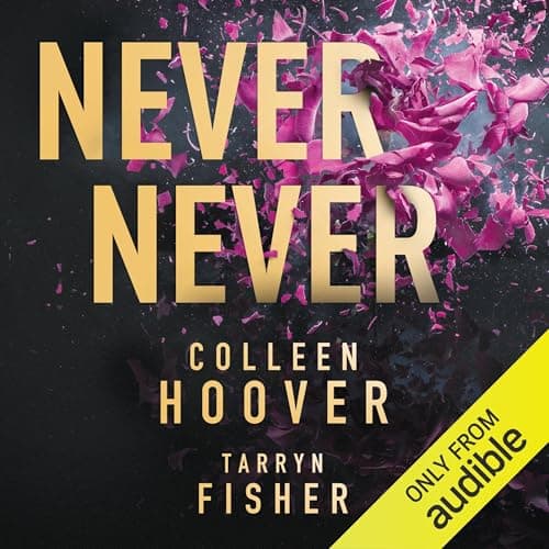 Never Never audiobook cover