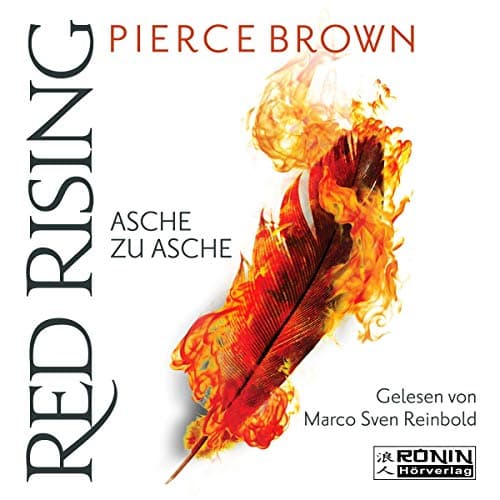 Asche zu Asche audiobook cover