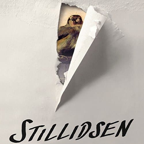 Stillidsen audiobook cover