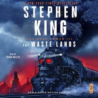 Dark Tower III: The Waste Lands audiobook cover