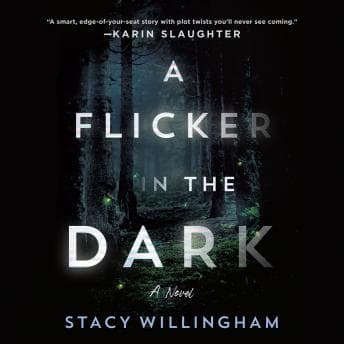 Flicker in the Dark: A Novel audiobook cover