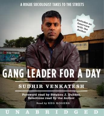 Gang Leader for a Day audiobook cover