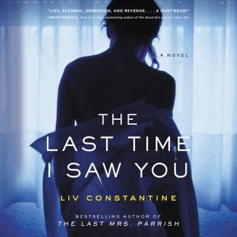 Last Time I Saw You: A Novel audiobook cover