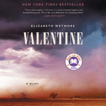 Valentine: A Novel audiobook cover