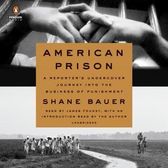 American Prison: A Reporter's Undercover Journey into the Business of Punishment audiobook cover