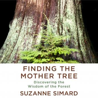 Finding the Mother Tree: Discovering the Wisdom of the Forest audiobook cover