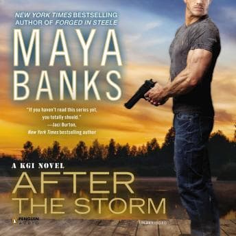 After the Storm audiobook cover