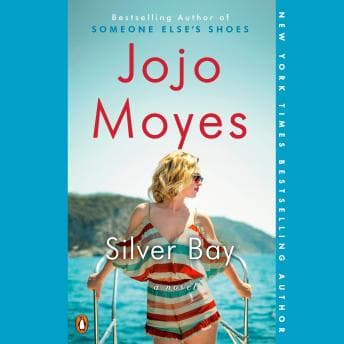 Silver Bay: A Novel audiobook cover
