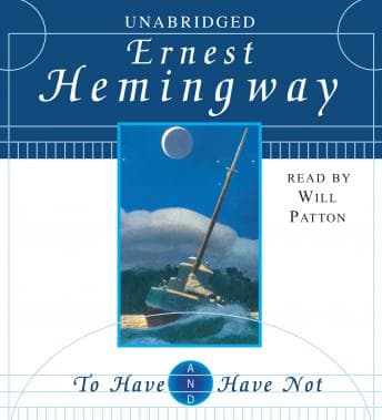 To Have and Have Not audiobook cover