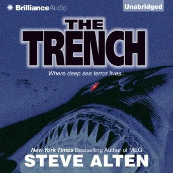 Trench audiobook cover