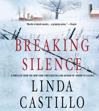Breaking Silence: A Kate Burkholder Novel audiobook cover