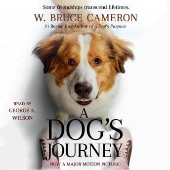 Dog's Journey: A Novel audiobook cover