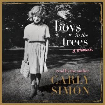 Boys in the Trees: A Memoir audiobook cover