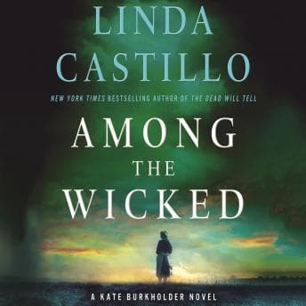 Among the Wicked: A Kate Burkholder Novel audiobook cover