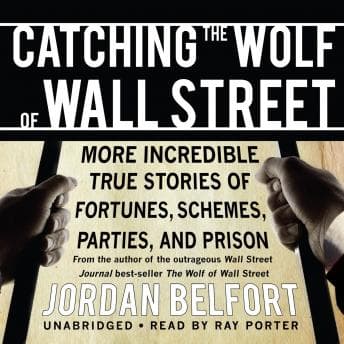 Catching the Wolf of Wall Street audiobook cover
