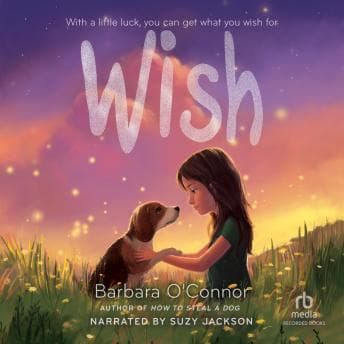 Wish audiobook cover