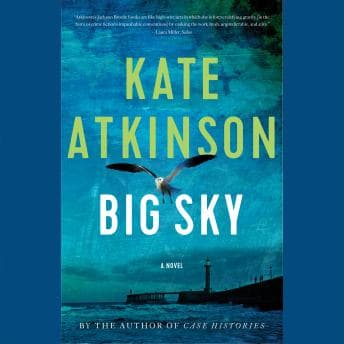 Big Sky audiobook cover
