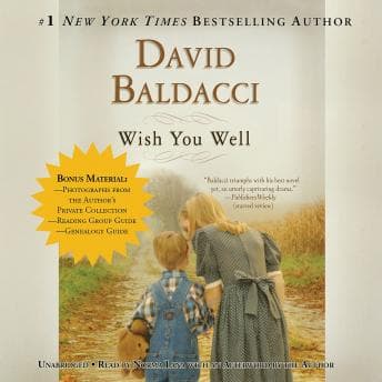 Wish You Well audiobook cover