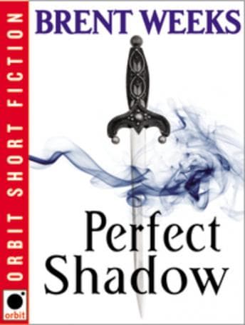 Perfect Shadow: A Night Angel Novella audiobook cover