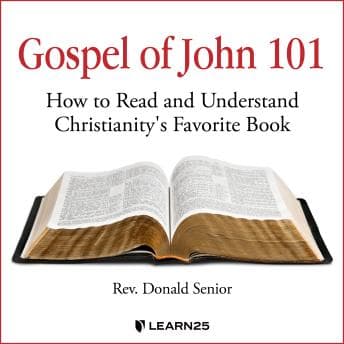 Gospel of John 101: How to Read and Understand Christianity's Favorite Book audiobook cover