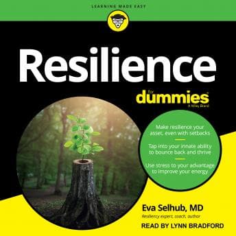 Resilience For Dummies audiobook cover