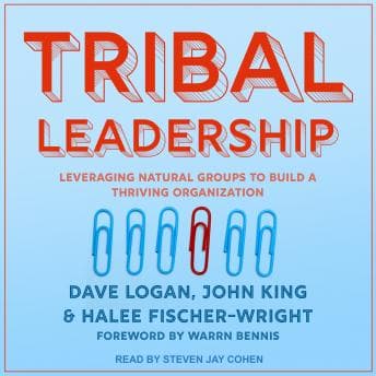 Tribal Leadership: Leveraging Natural Groups to Build a Thriving Organization audiobook cover