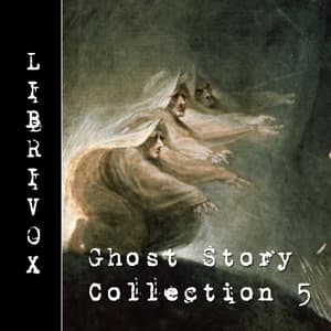 Story of the Inexperienced Ghost audiobook cover